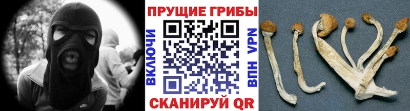 Галлюциногенные грибы Magic Shrooms Ярославль