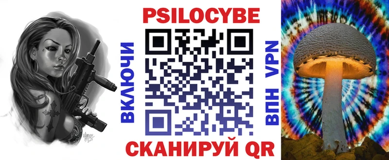 где найти наркотики  darknet официальный сайт  Псилоцибиновые грибы Psilocybe  Ярославль 